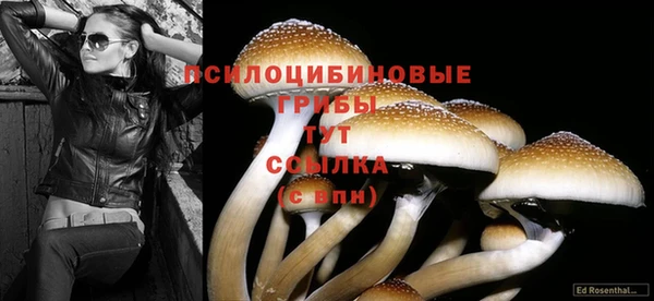 гашиш Горнозаводск