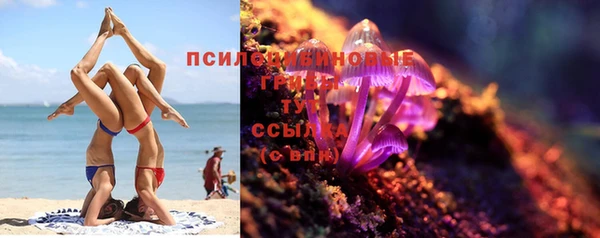 ешки Корсаков